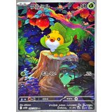 クルミル【AR】｛087/086｝［SV11W］