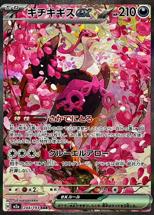 キチキギスex【SAR】｛244/193｝［M2a］
